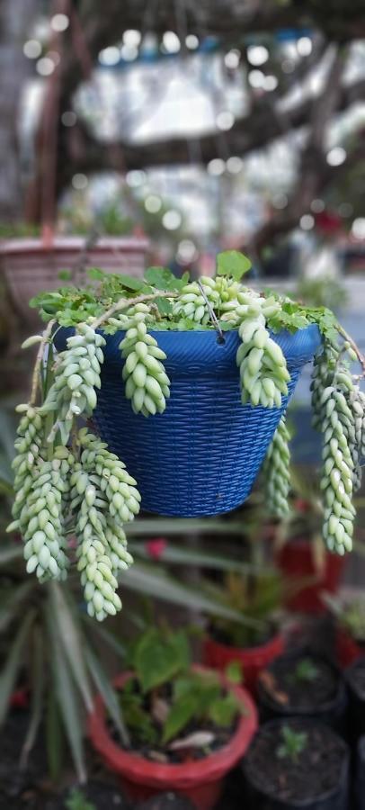 The Shire Kalimpong Hotel Bagian luar foto